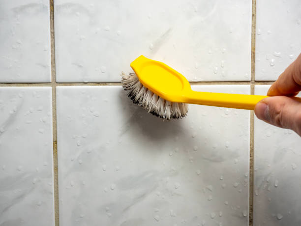 Best Attic Mold Removal  in View Park Windsor Hills, CA