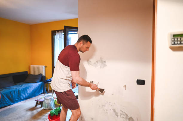 Best Emergency Mold Removal  in View Park Windsor Hills, CA